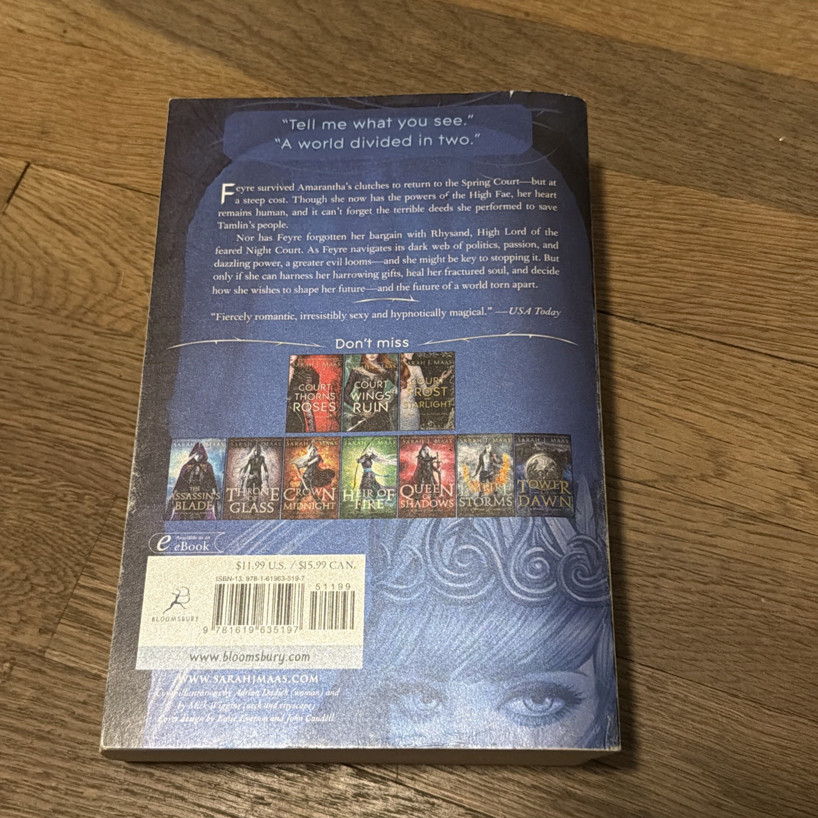 A Court of Mist and Fury Paperback OOP Original Cover Sarah J. Maas