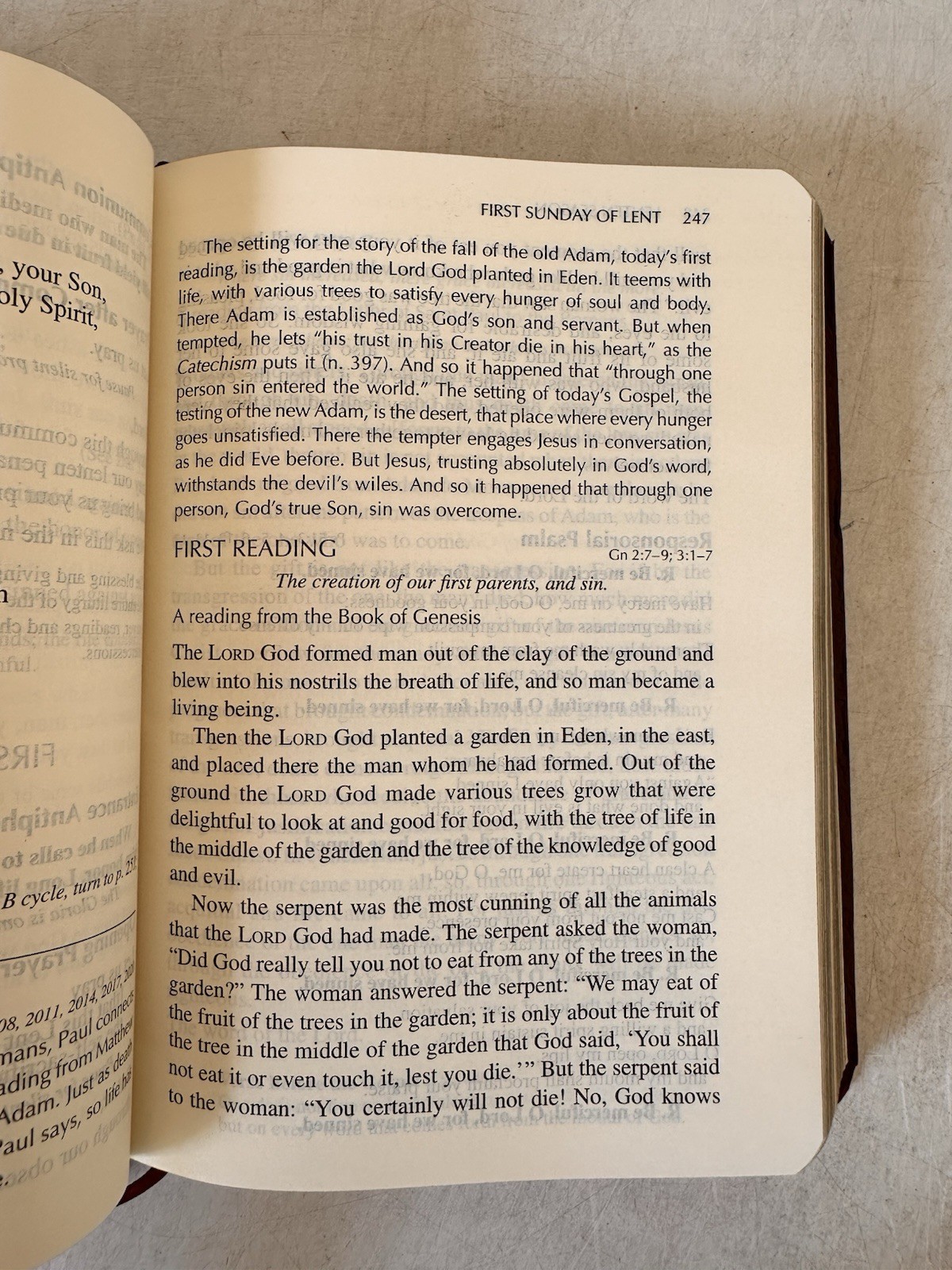 Vatican II Sunday Missal 2001 Red Soft Leather Millennium Edition