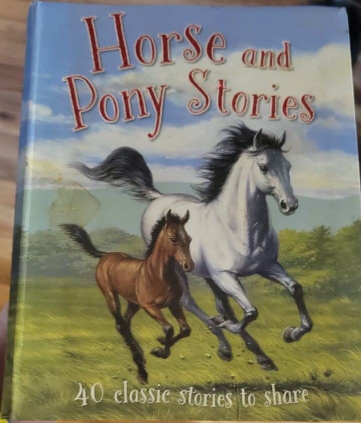 Horse and Pony Stories Illustrated Hardcover Book English Multiple Writers