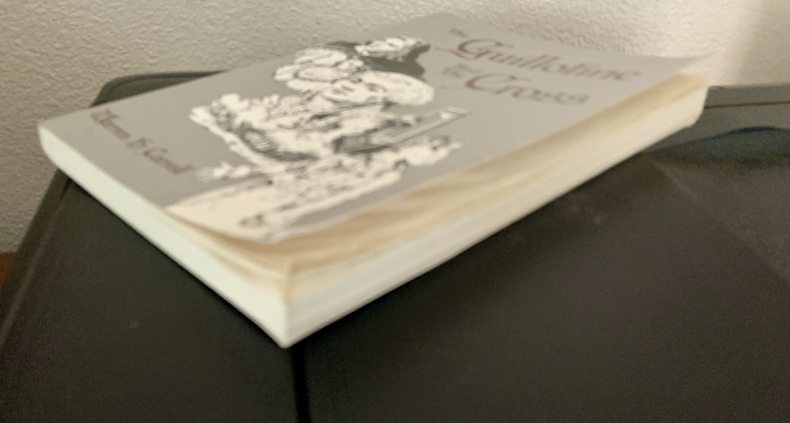 The Guillotine & The Cross