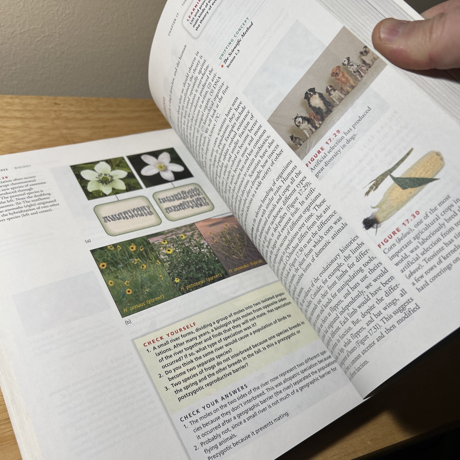 Conceptual Integrated Science Paperback – 2007 by Paul G. Hewitt Used NGC