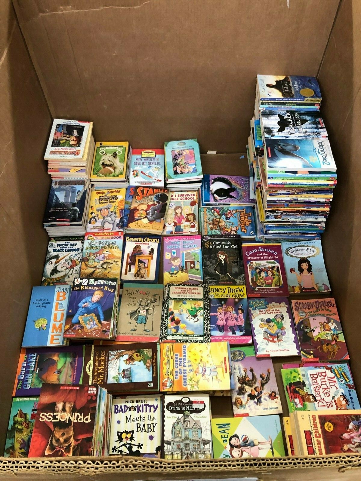 Lot of 30 kids young instant library chapter books bundle paperback – GOOD