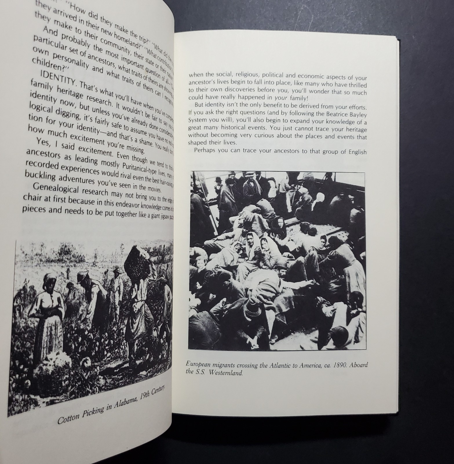 Beatrice Bayley Genealogy Hardcover–The Keeling Family Heritage Book (1983)