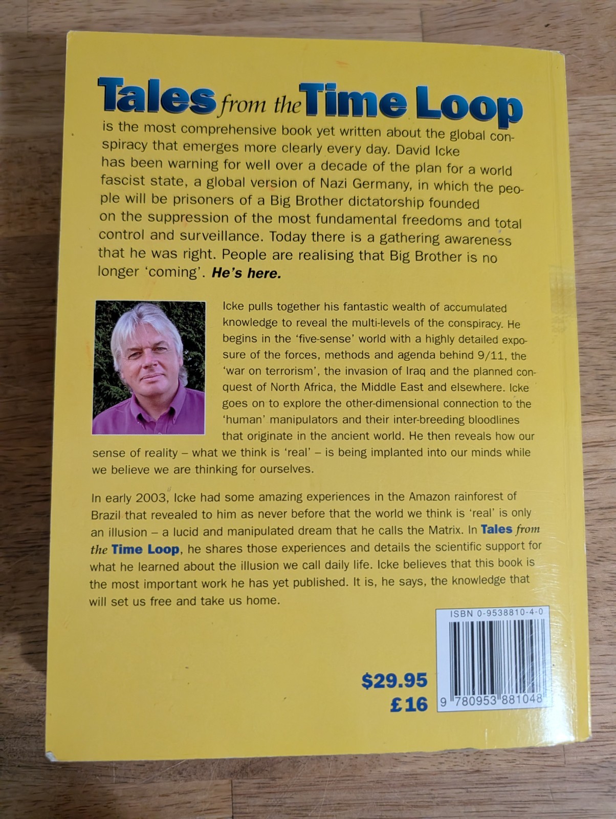 Tales from the Time Loop by David Icke Big Brother Global Conspiracy Book