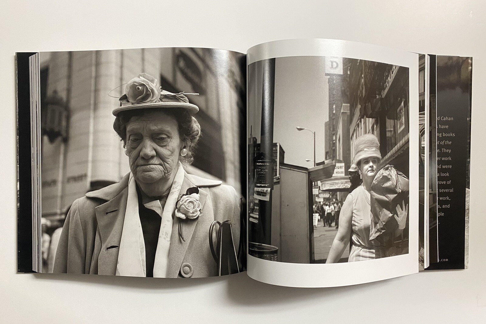 Vivian Maier: Out of the Shadows Mint Copies Out Of Print Book $60 List
