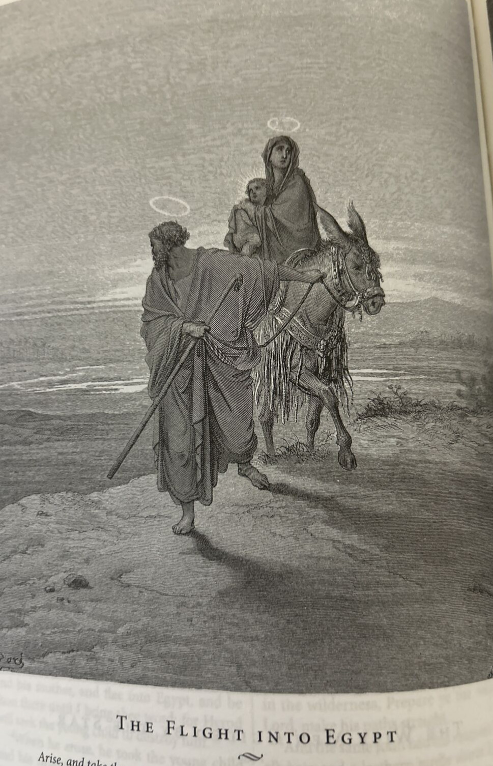 ❤️THE HOLY BIBLE King James Version Gustave Dore illustrated Leather Bound NEW