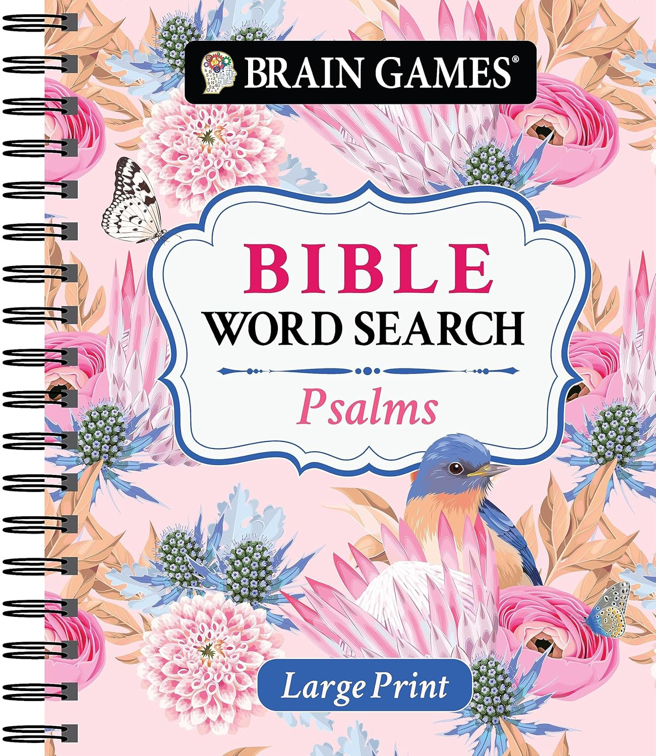 Brain Games – Large Print Bible Word Search: Psalms (Brain Games – Bible)