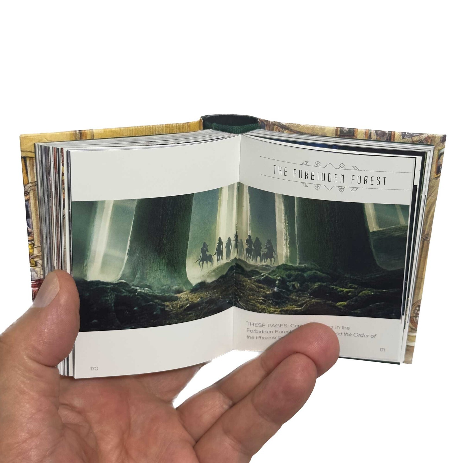 gift Mini Book the Art of Harry Potter Magical Places hardcover 304 color pages