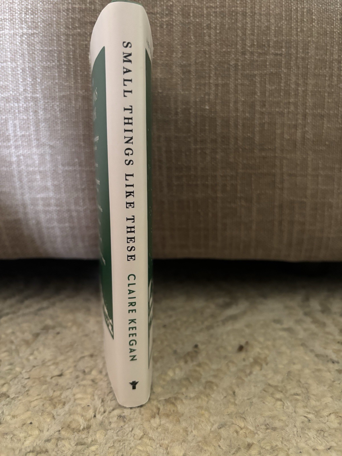 Small Things Like These, Hardcover Novel, Like New & Free Shipping