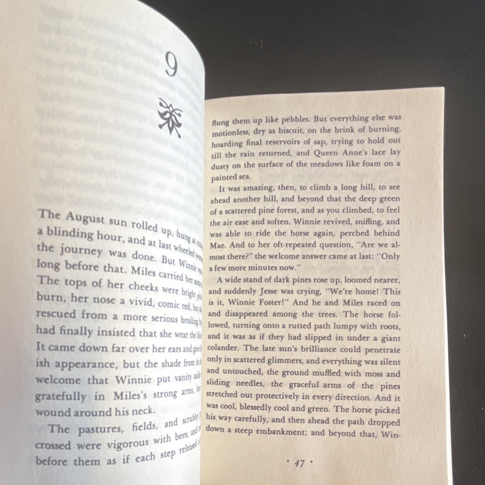 Square Fish Tuck Everlasting by Natalie Babbitt Paperback Immortality Family