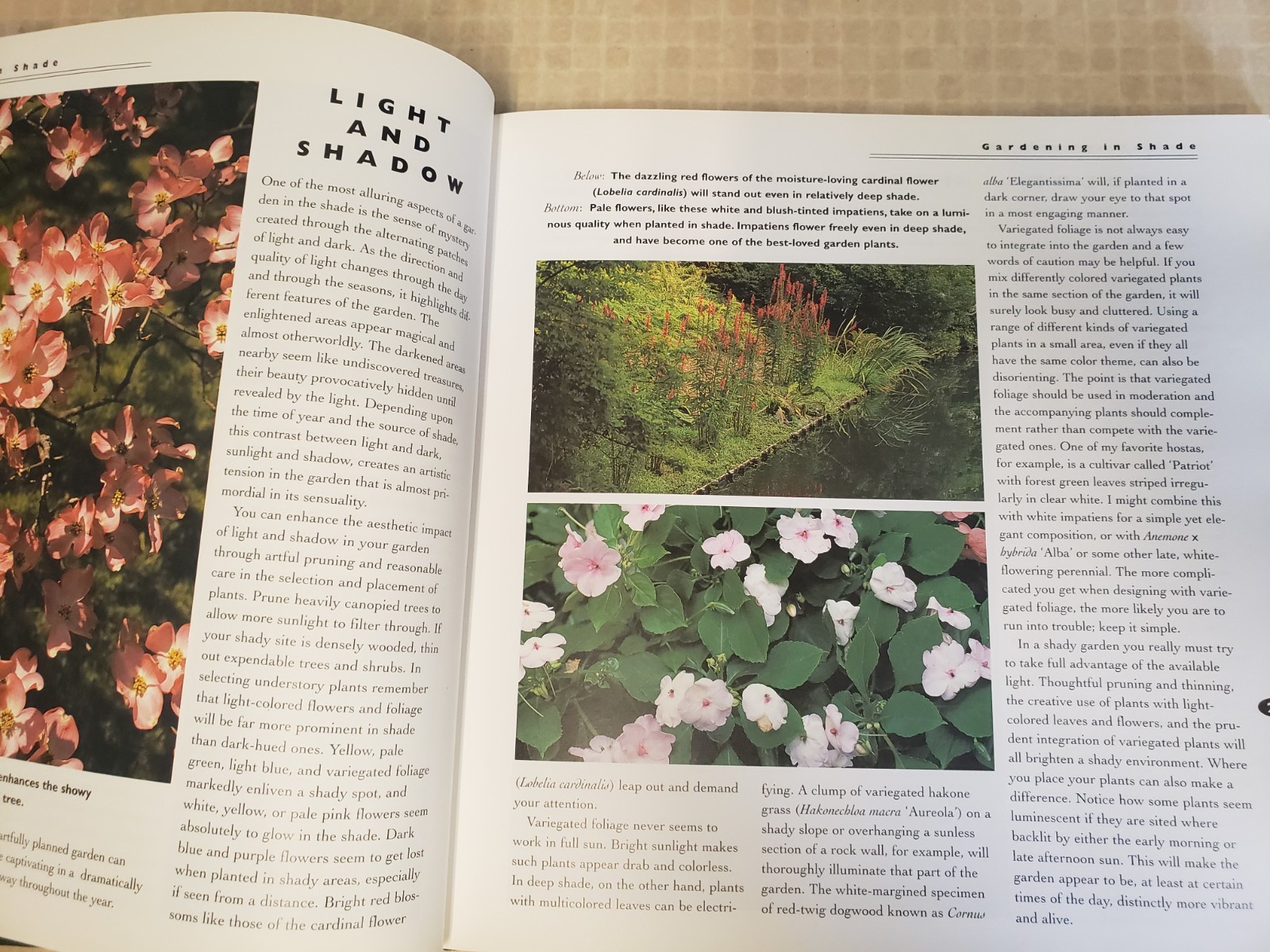 (D6.14) Lot of 3 Books: PERENNIALS and SHADE GARDENS