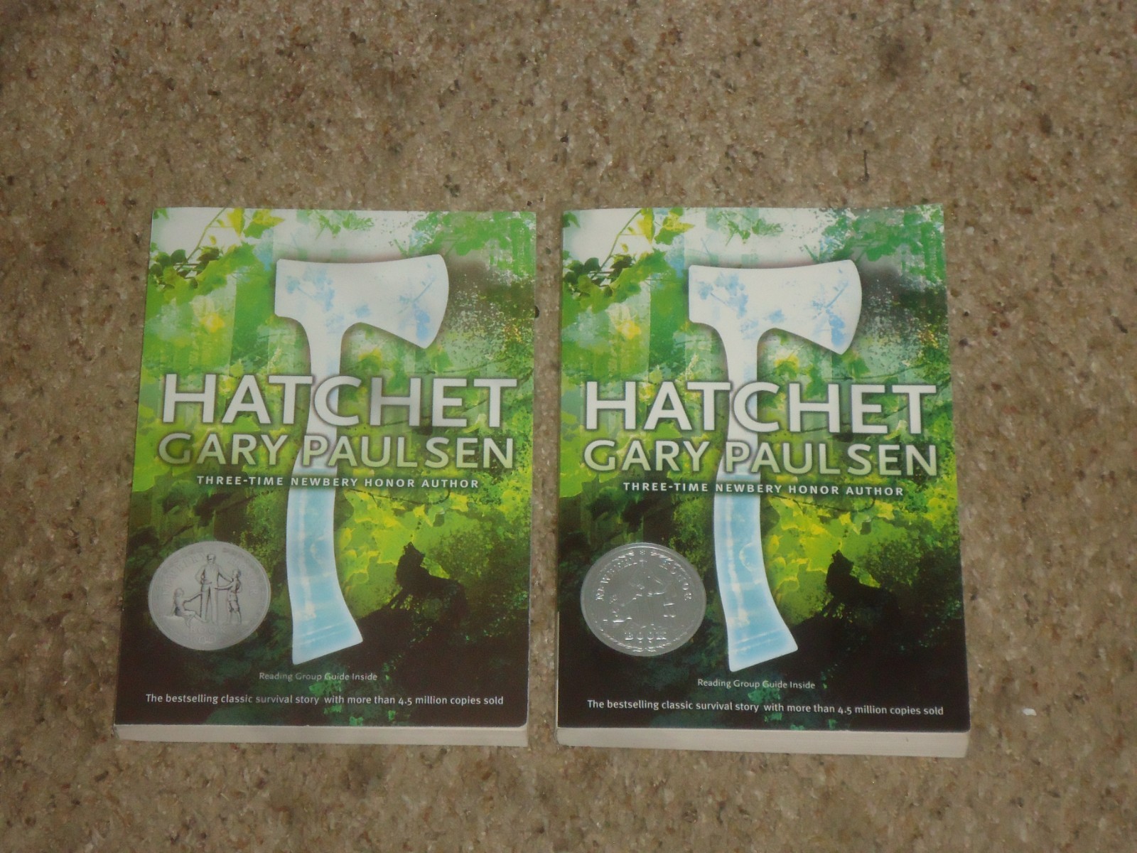 Lot 20 Hatchet Books Teacher Class Set Gary Paulsen Guided Reading
