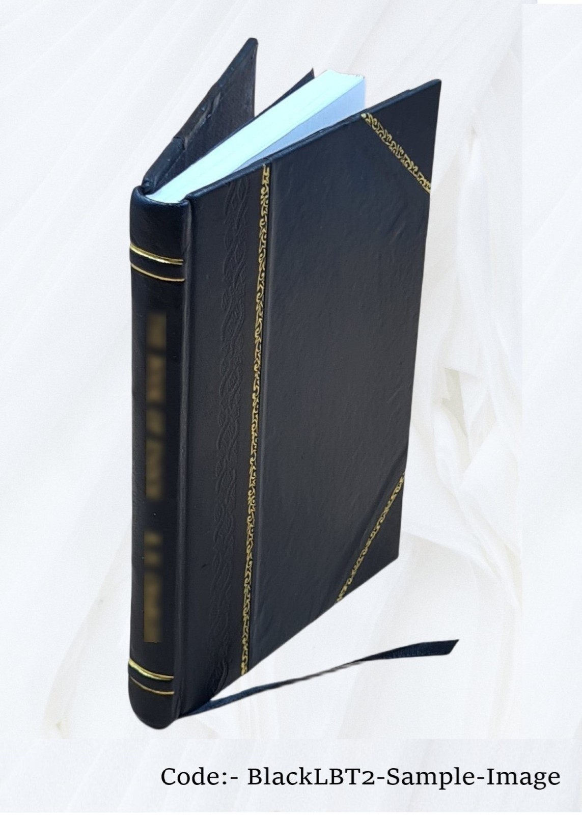 The Gospel of the Lord : an early version which was circulated b [Leather Bound]