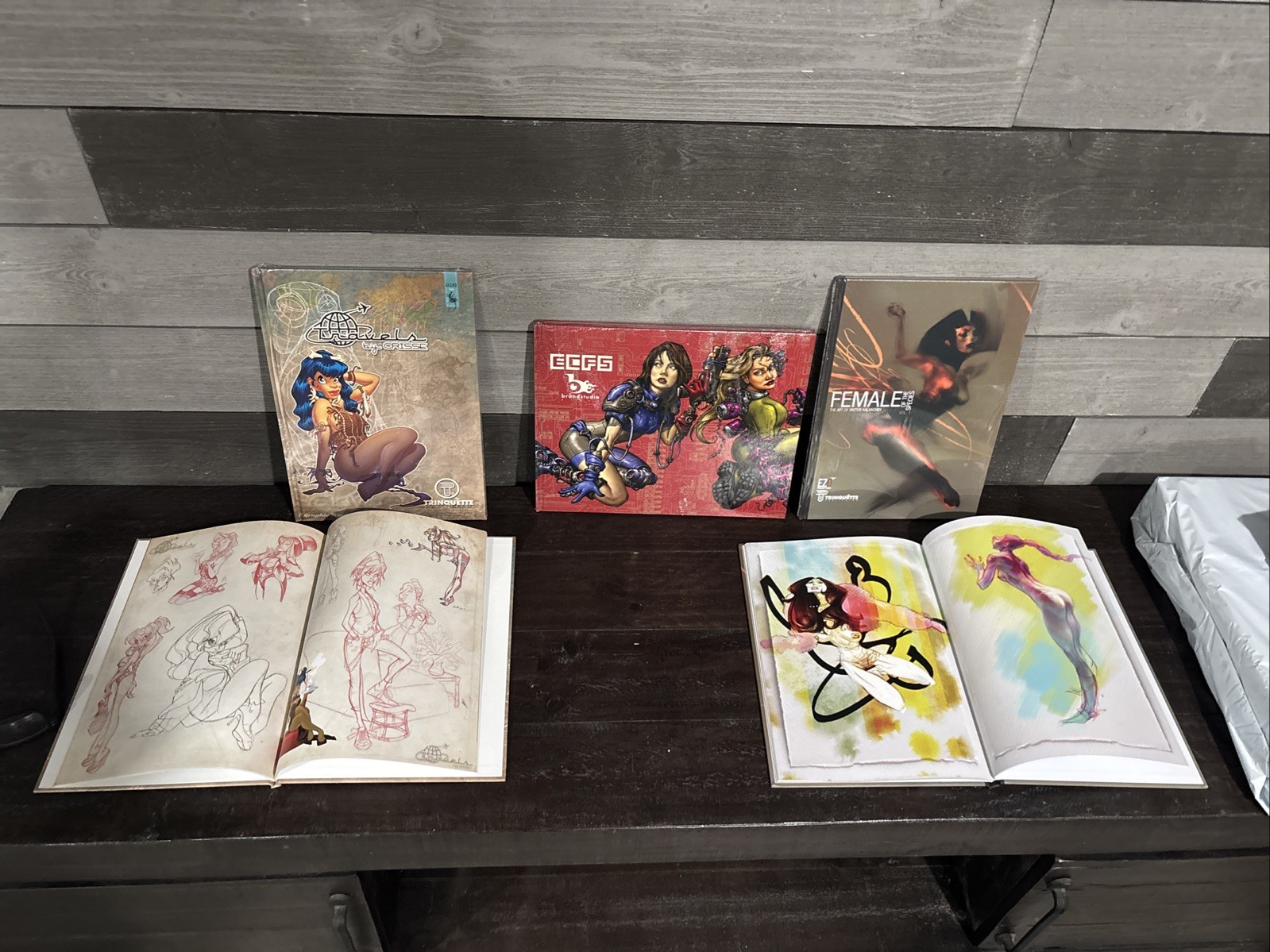 Eye Candy, Female Adult , Art Book Lot Of 3 New Great For Inmates, Graphic Art