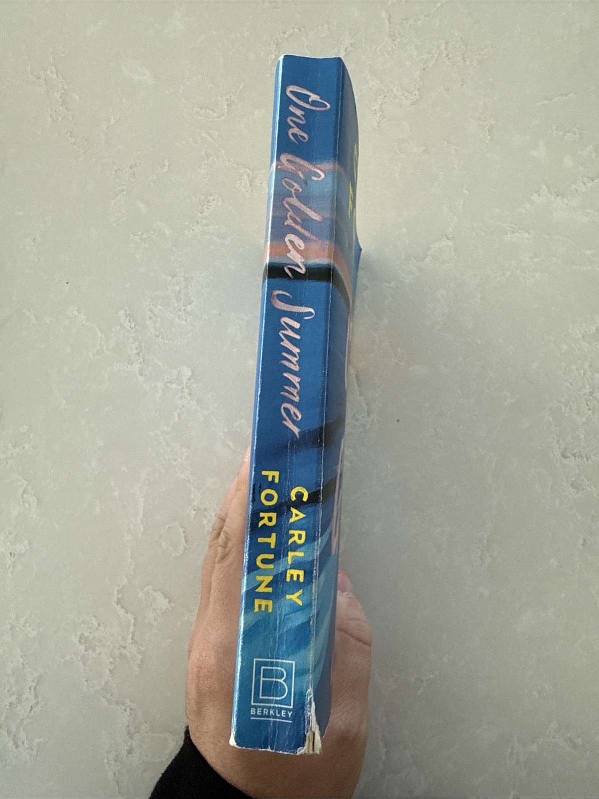 One Golden Summer – paperback Fortune, Carley