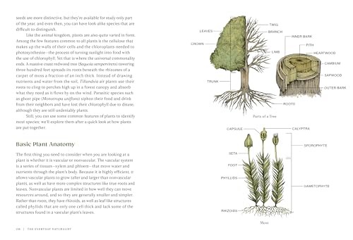 The Everyday Naturalist: How to Identify Animals, Plants, and Fungi Wherever You