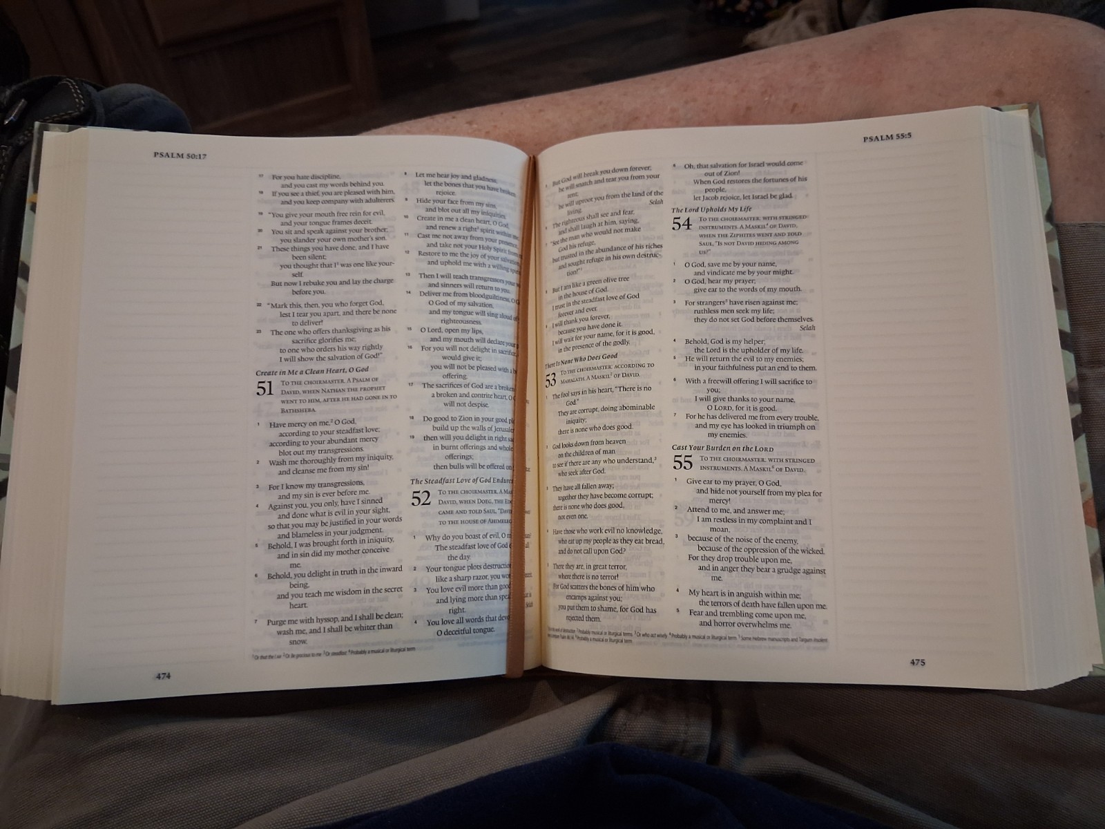 ESV Journaling Bible (Autumn Song) Birds Crossway New? Blank Read Slip Case