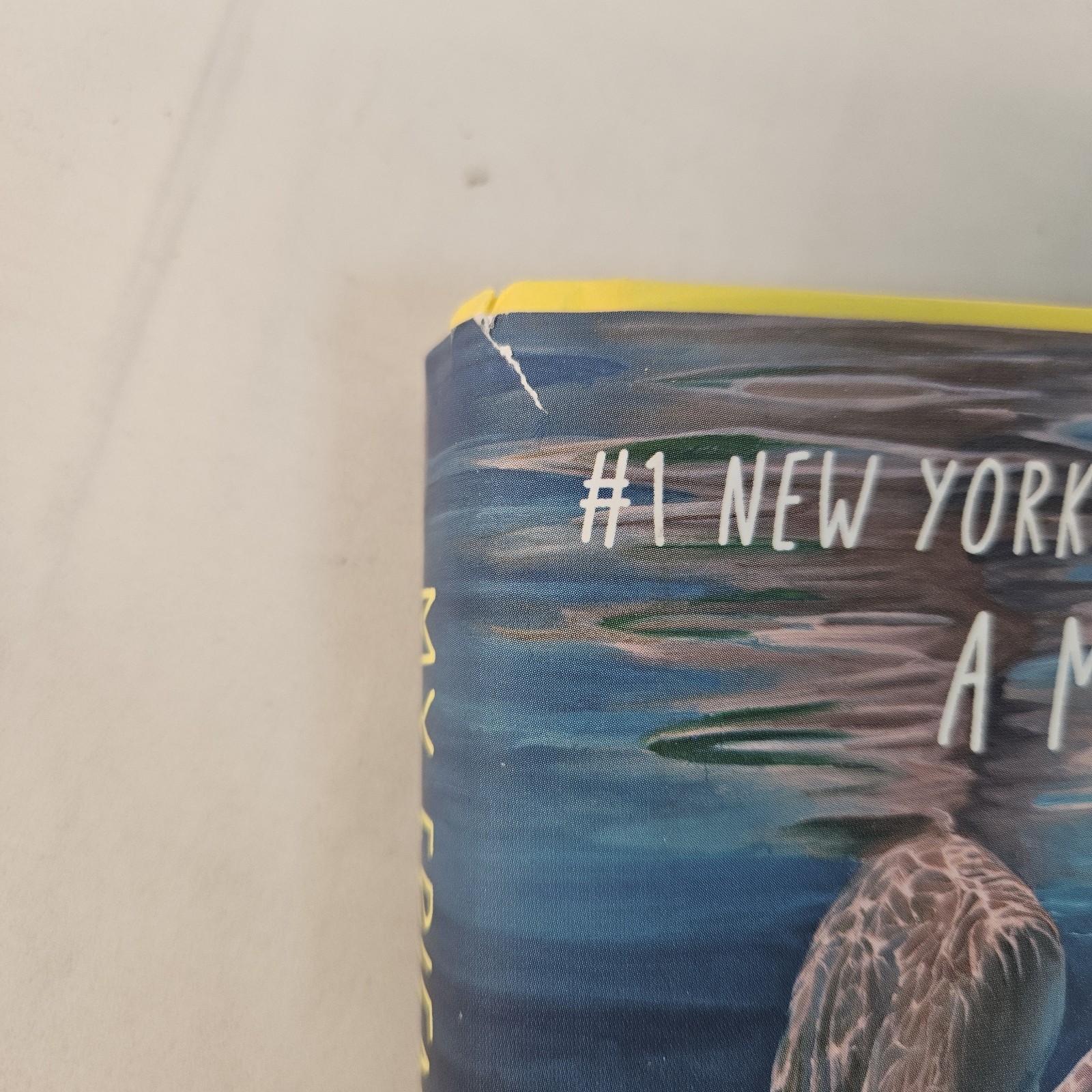 My Friends : A Novel by Fredrik Backman (2025, Hardcover)