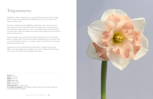 Daffodils: Beautiful Varieties for Home and Garden (Flowers), Slade, Naomi, Exce