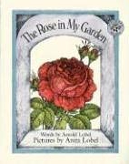 The Rose in My Garden Paperback Arnold Lobel