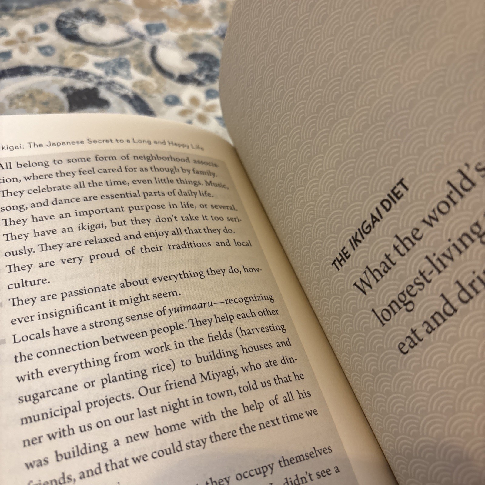 Ikigai: The Japanese Secret to a Long and Happy Life By Hector Garcia