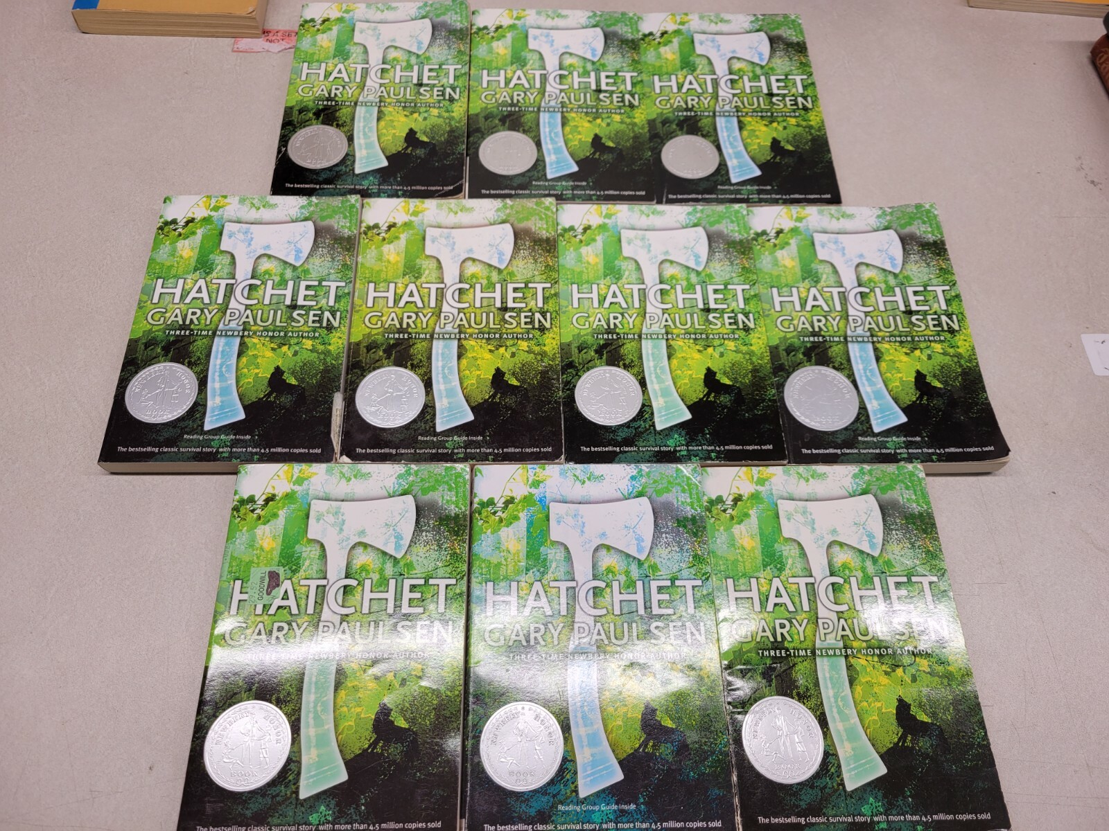 Guided Reading Lot of 10 Copies of Hatchet by Gary Paulsen – Paperback