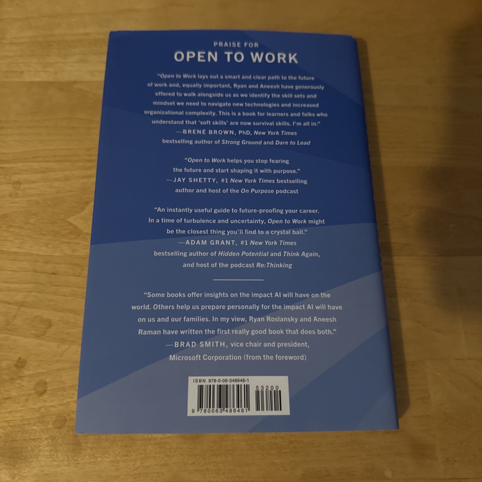 Open to Work (Hardcover) by Ryan Roslansky Aneesh Raman