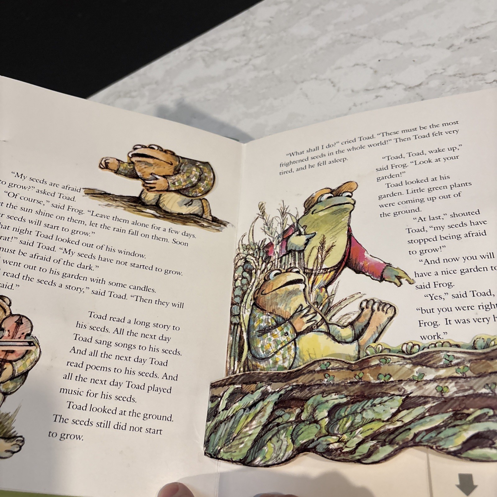 FIRST EDITION THE FROG AND TOAD POP-UP BOOK Arnold Lobel 1986