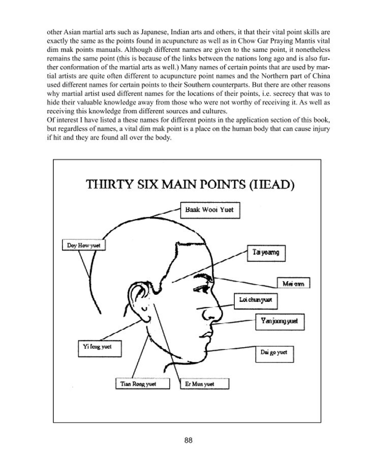 Book: Close in Fighting Skills of Chow Gar Southern Praying Mantis Manual