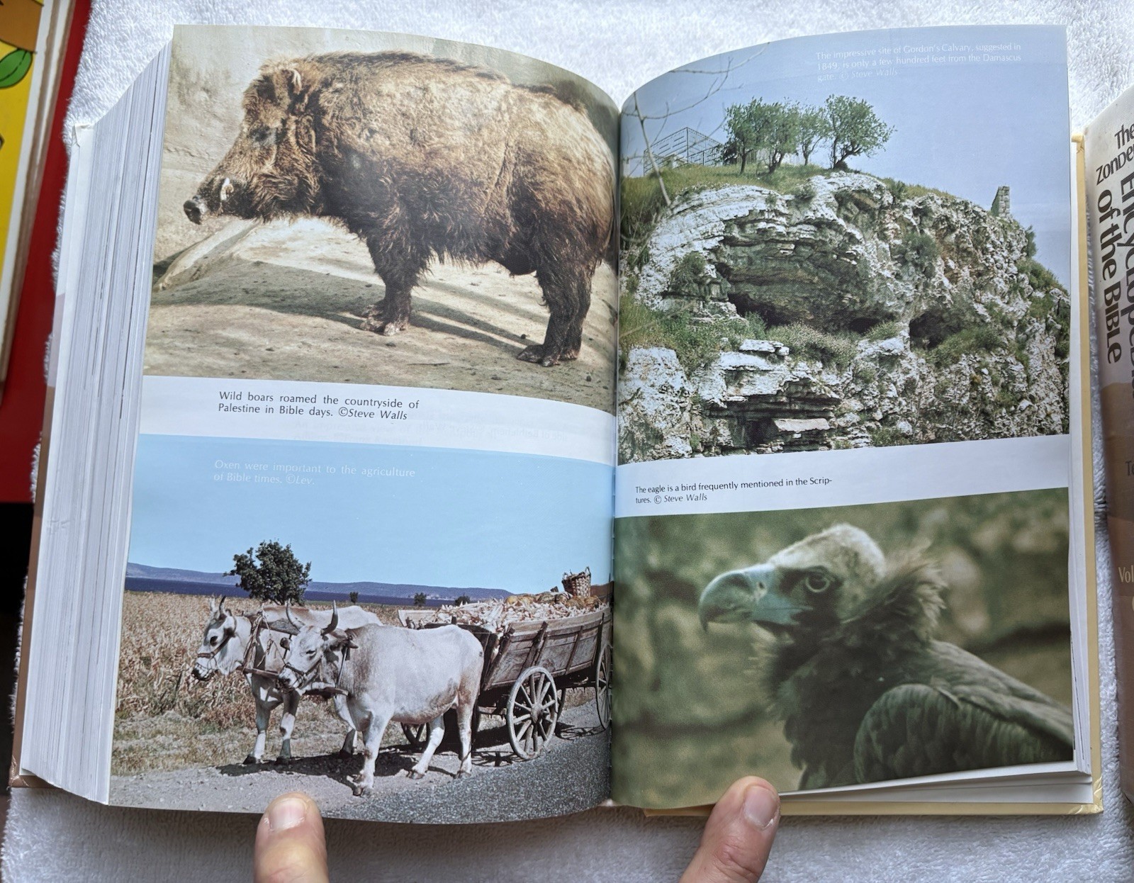 Zondervan Pictorial Encyclopedia o the Bible, Vols. 1-5, VG to LN Books FREESHIP