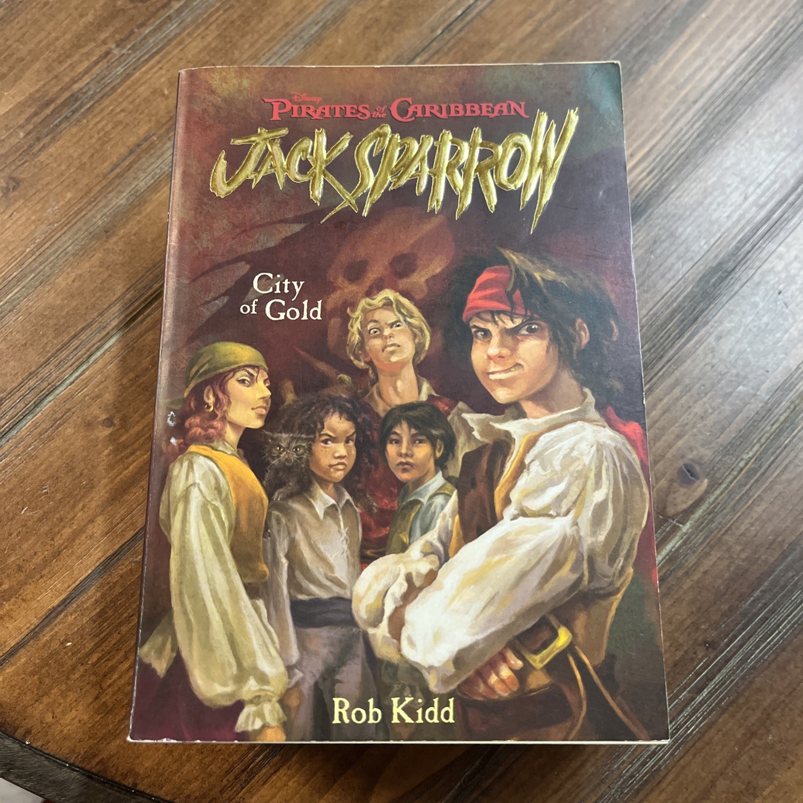 Lot Of 9 Jack Sparrow Books Books #1-9 Disney Press Series Set PB Kidd Pirates
