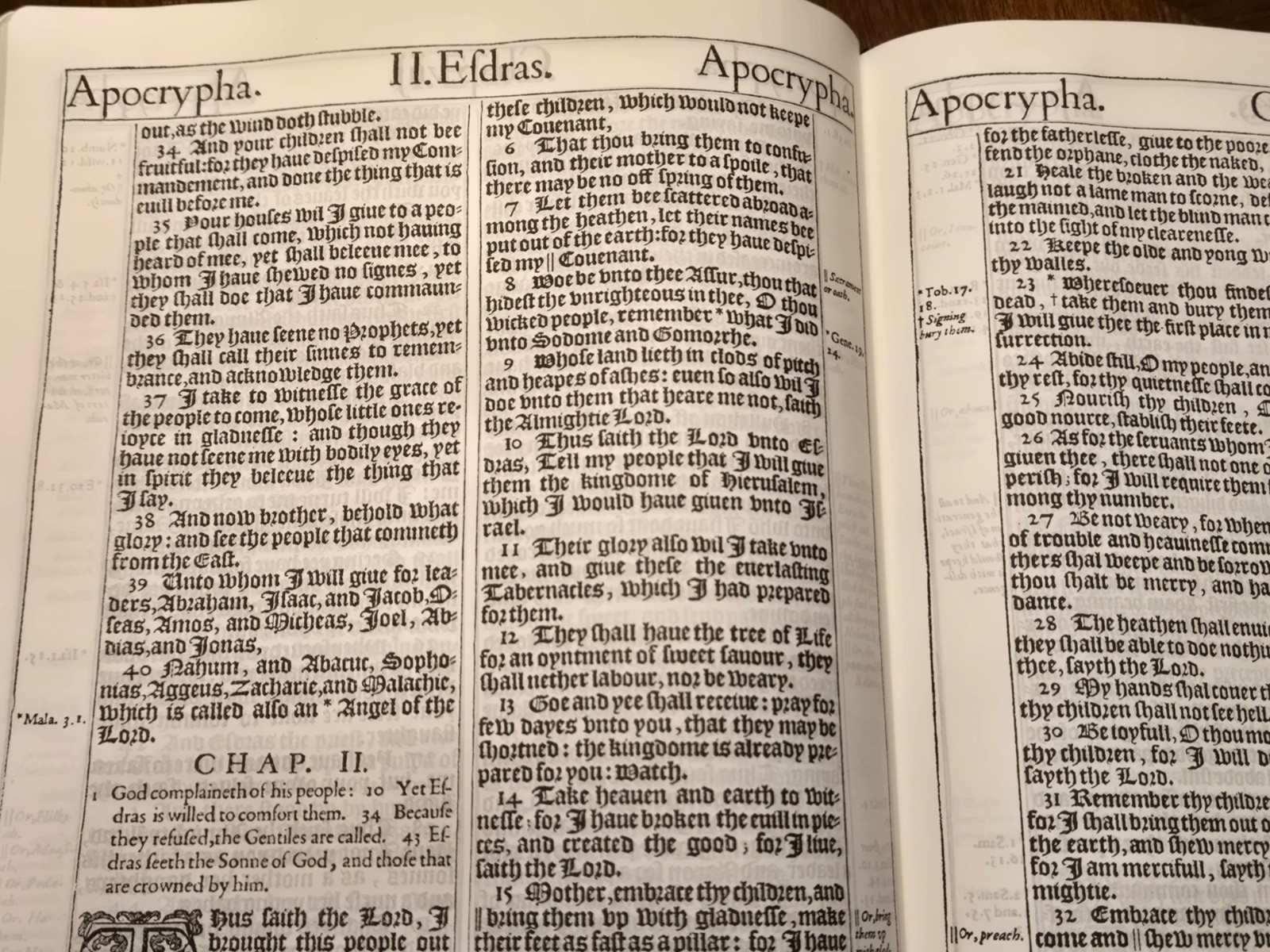 Original 1611 King James Bible KJV AV1611 Facsimile Brown w/ Apocrypha Softcover