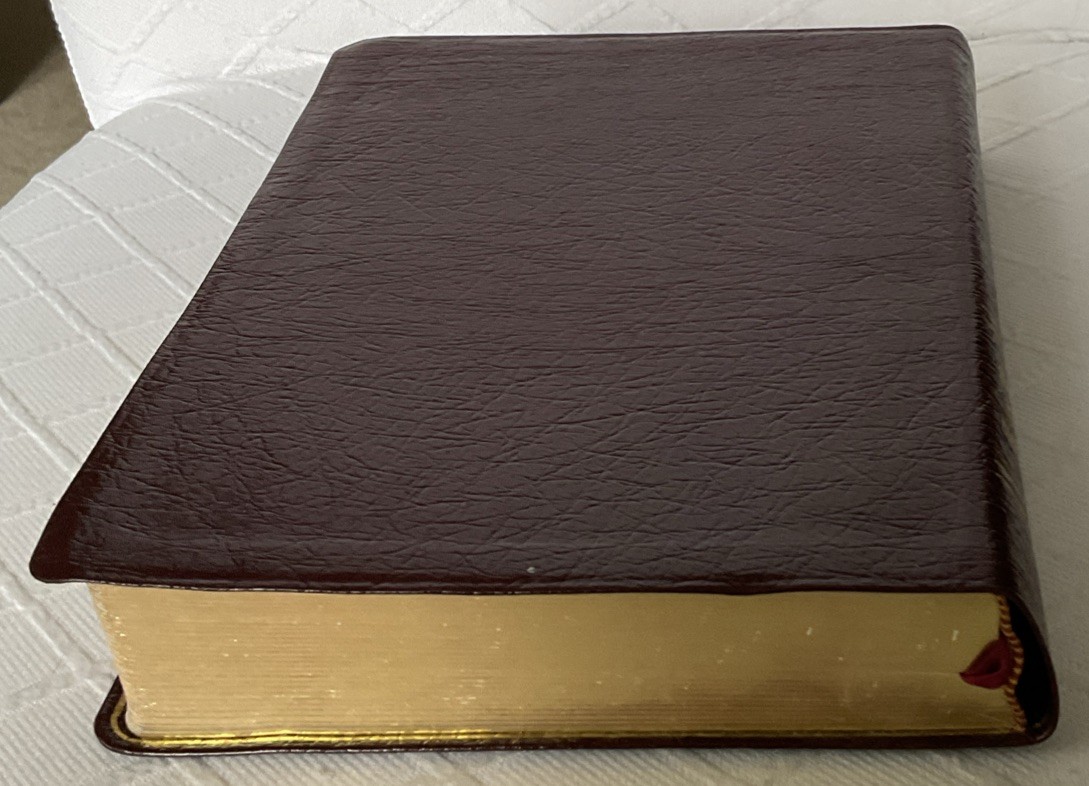 LIKE NEW***THOMPSON CHAIN-REFERENCE BIBLE***NIV***GENUINE LEATHER