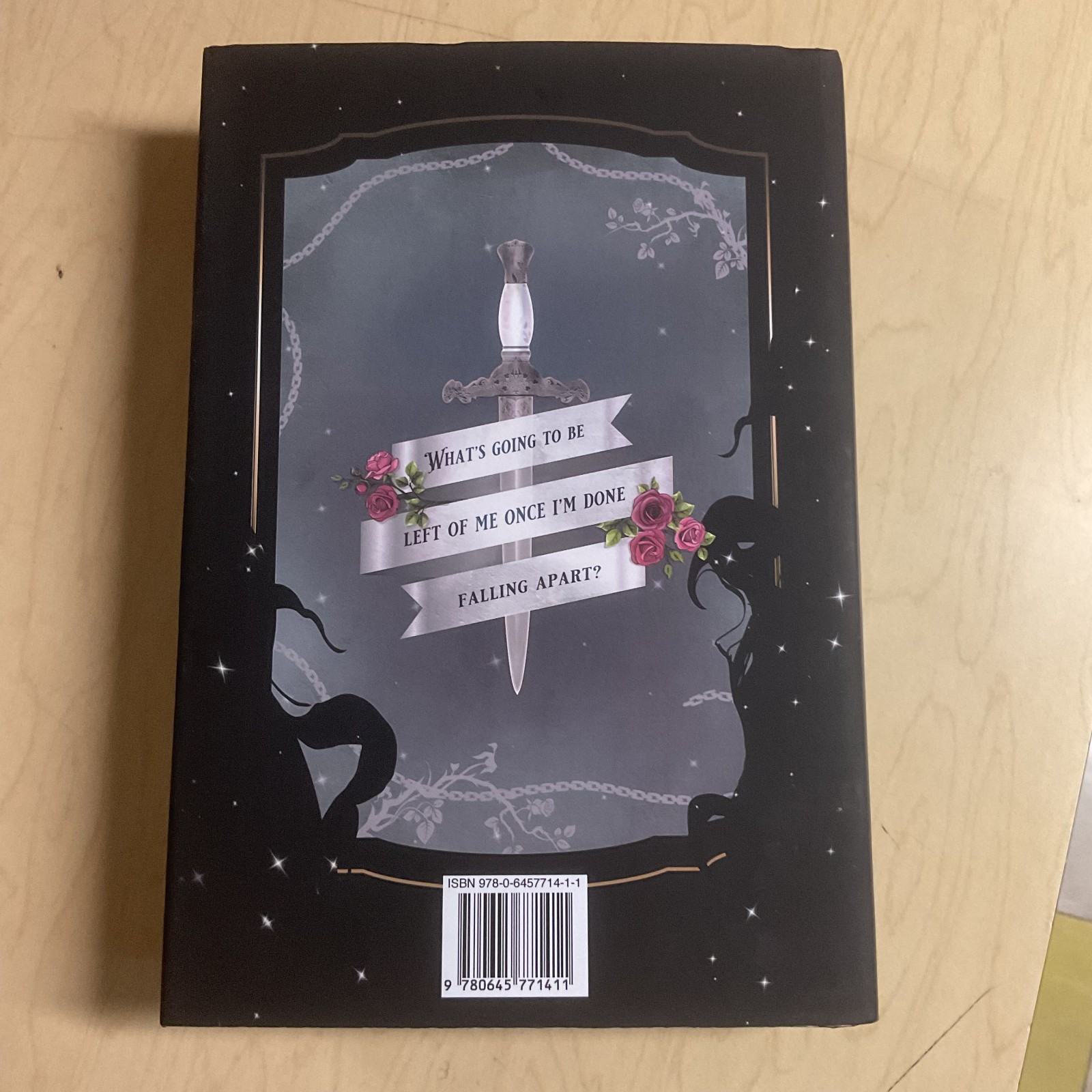 To Snap a Silver Stem by Sarah A. Parker (Hardback) new 9780645771411