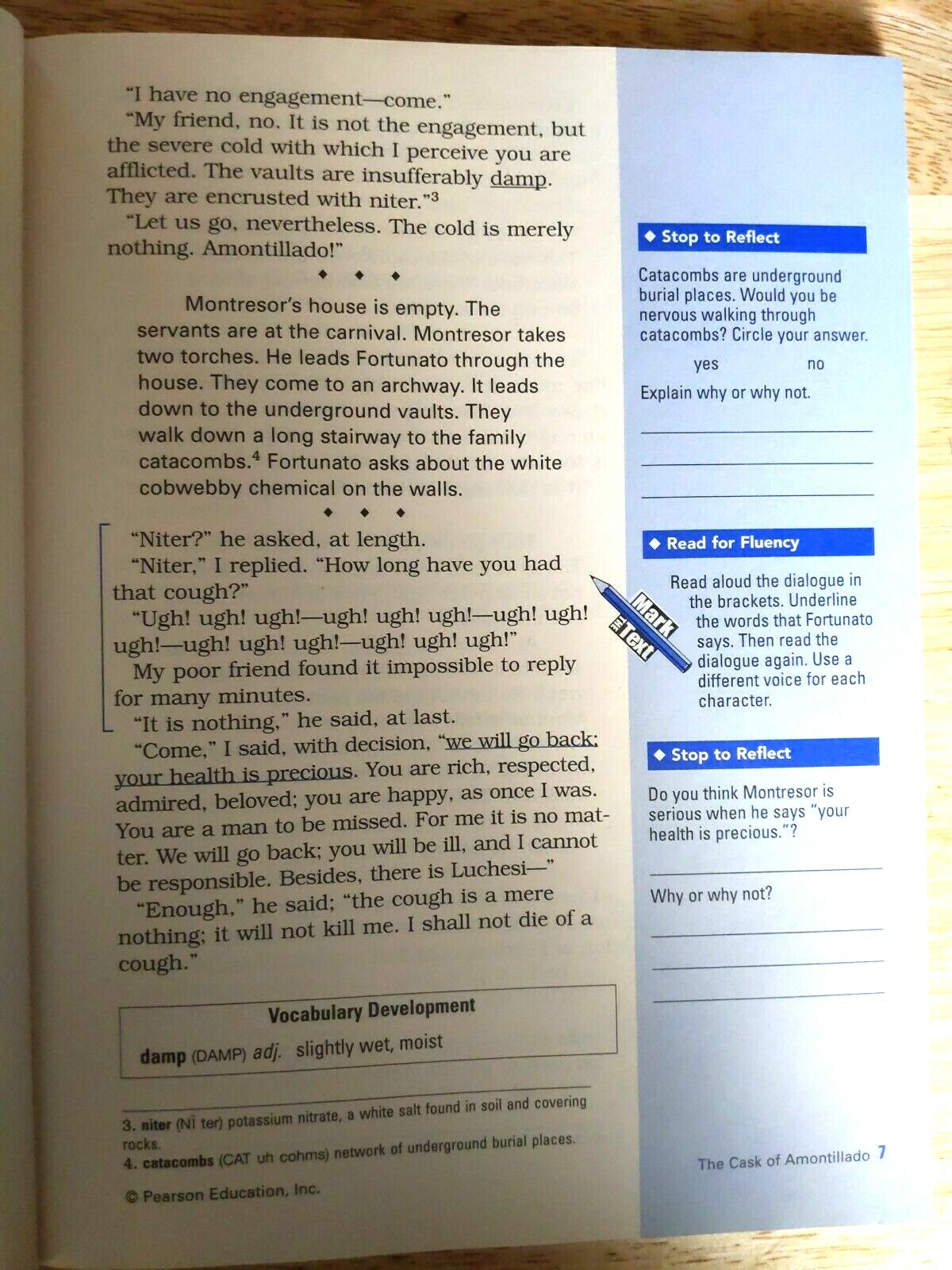 Prentice Hall Literature Gold 9th Grade 9 Workbook Homeschool English Reader LN