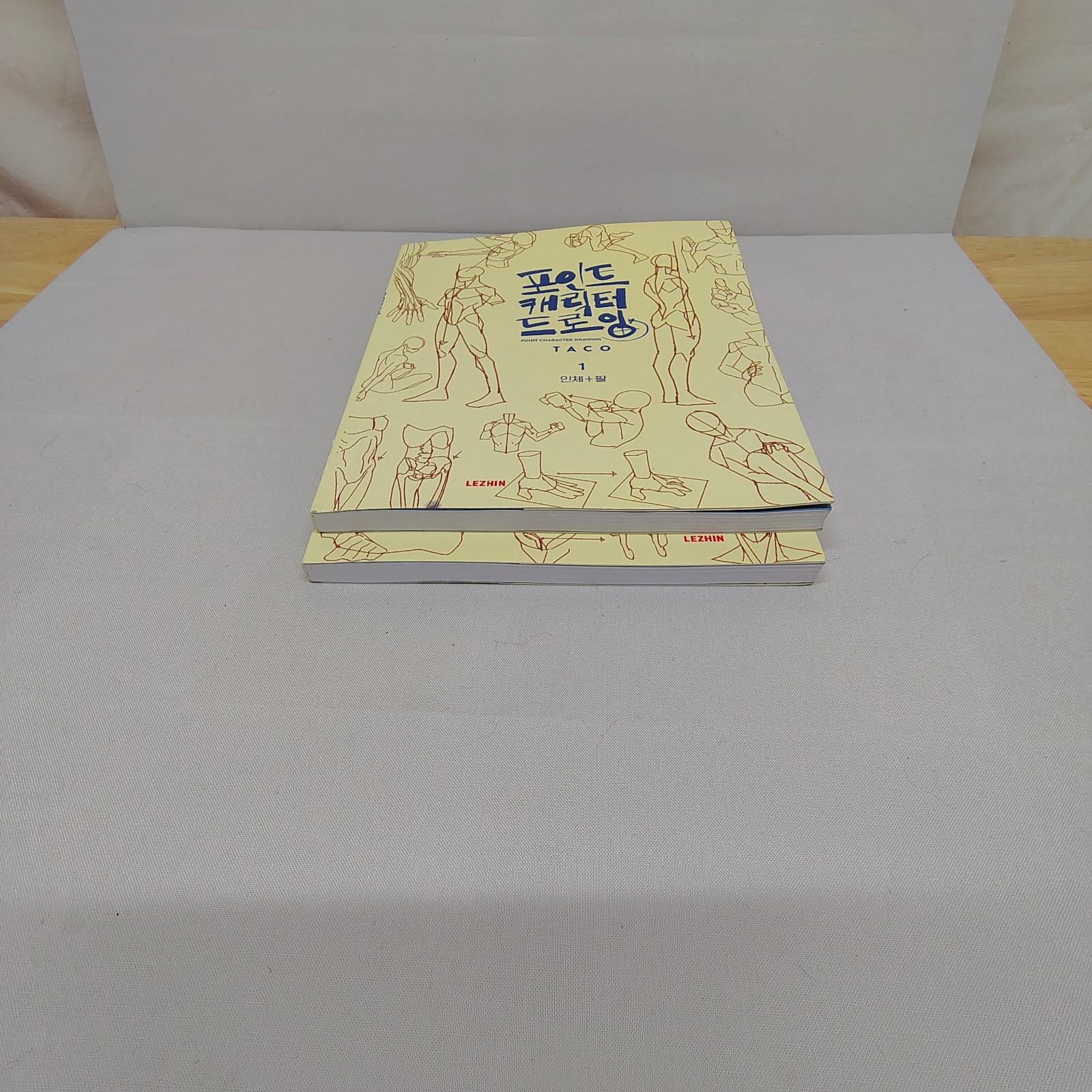 Point Character Drawing Vol 1 & 2 TACO Korean Art Anatomy Manga Drawing Books