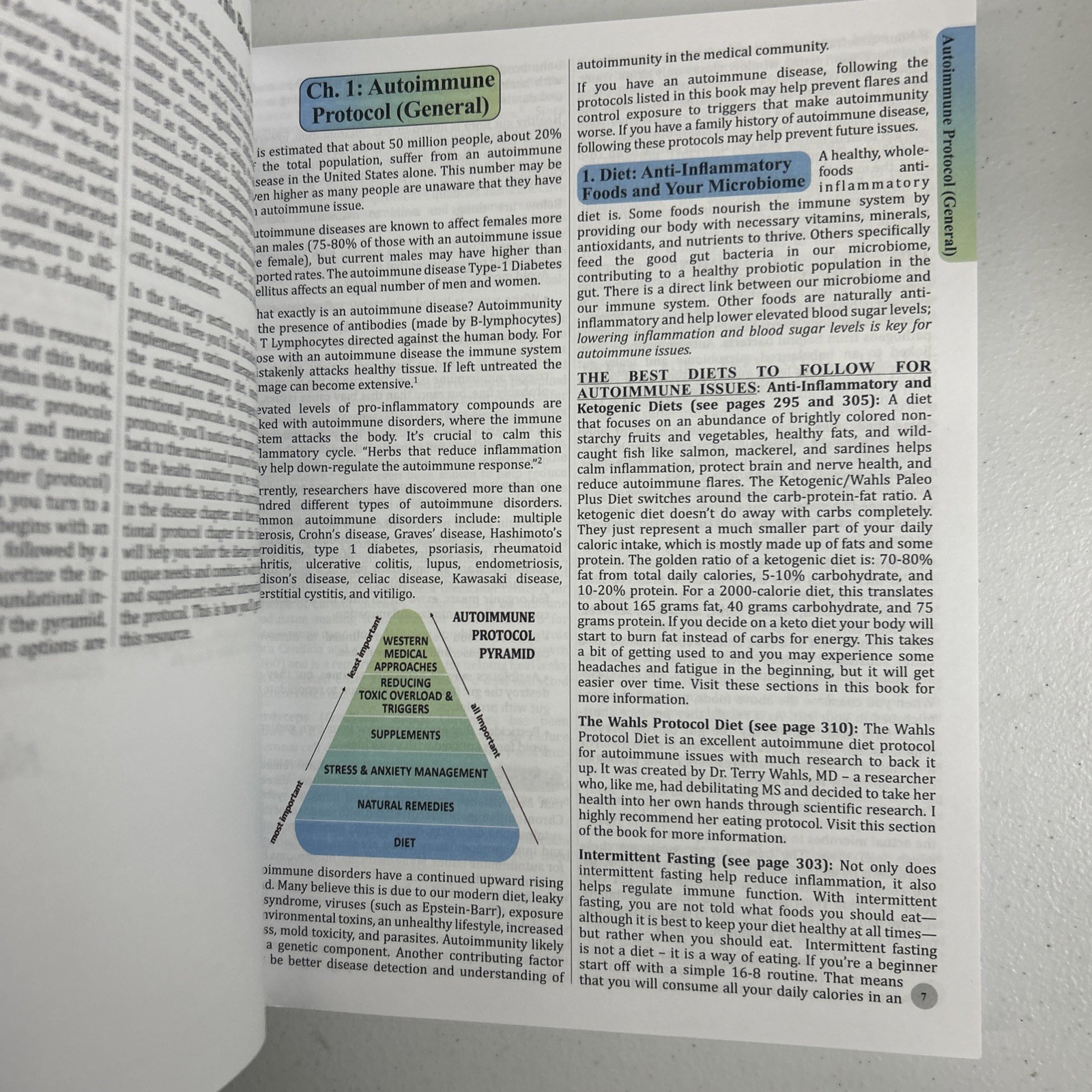 The Holistic Guide to Wellness: Herbal Protocols for Common Ailments. N. Apelian