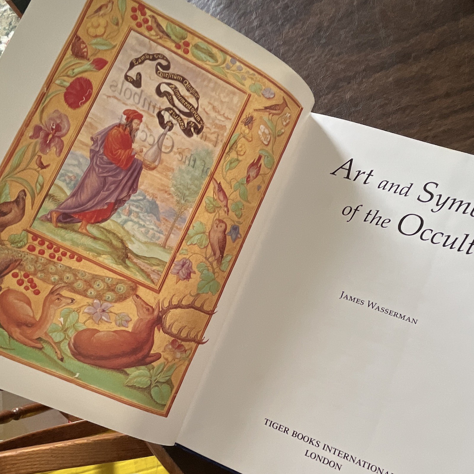 Art and Symbols of the Occult HC Illustrated James Wasserman 1993 Tiger Books
