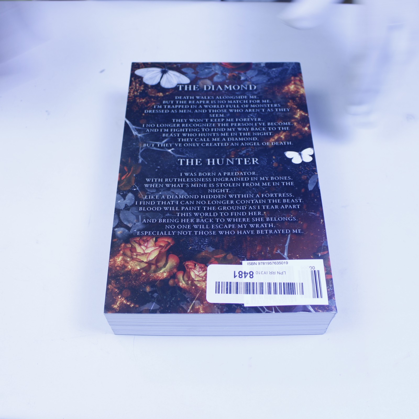 Survive the Obsession with Dark Romance Thriller Hardcover by Cat and Mouse,