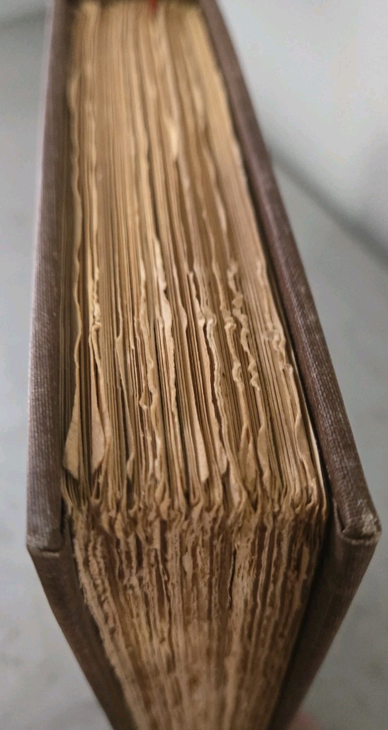 1902 The Robbers by Friedrich Schiller Luxury Edition #15 of 1,000