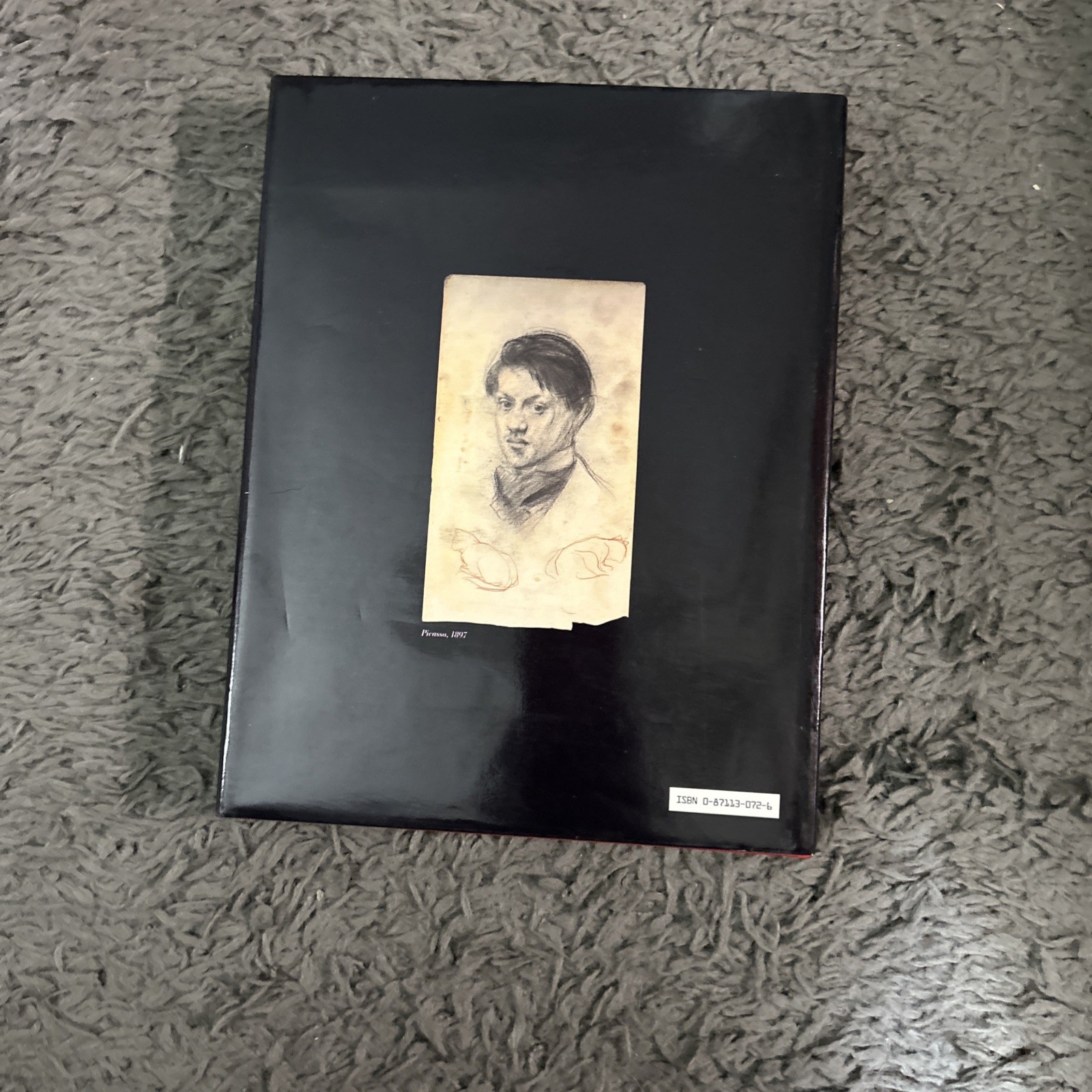 Je Suis Le Cahier The Sketchbooks of Picasso HC/DJ. 1st Ed 1986