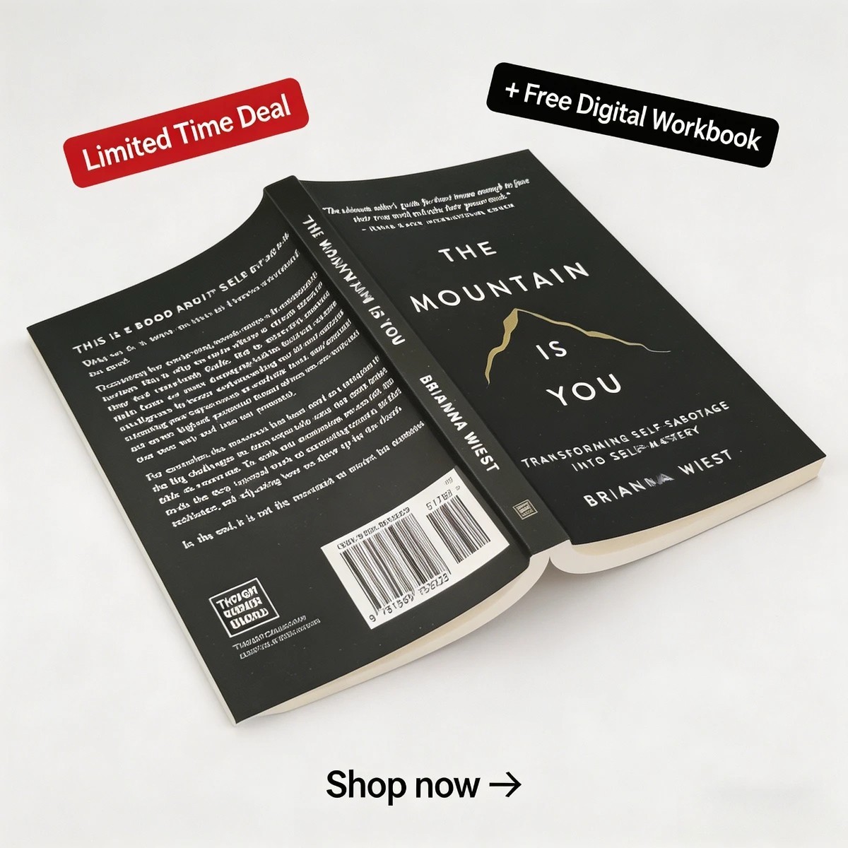 The Mountain Is You by Brianna Wiest Paperback Book | Self-Help Personal Growth