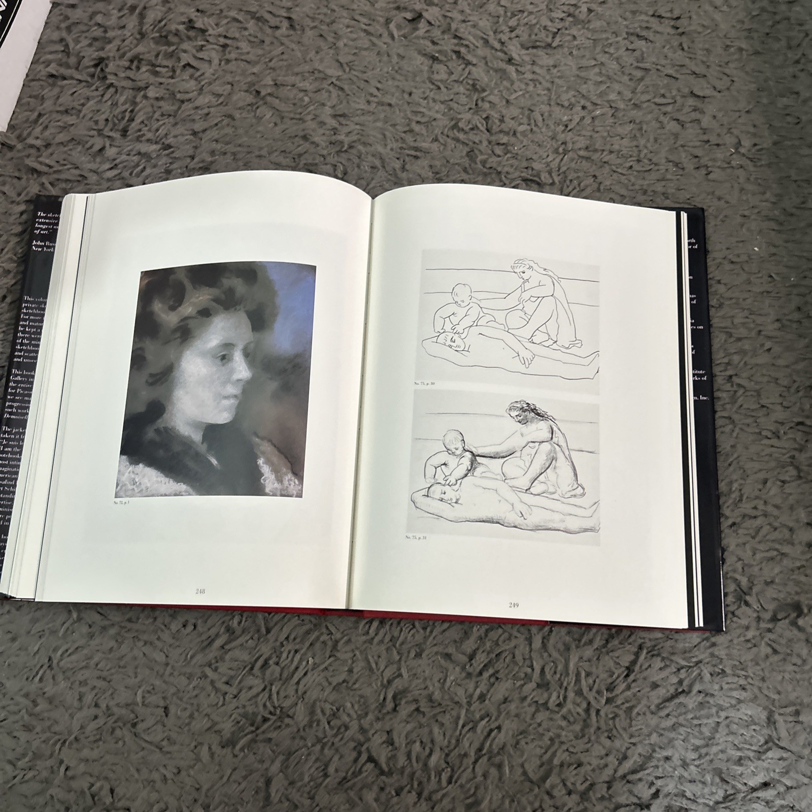Je Suis Le Cahier The Sketchbooks of Picasso HC/DJ. 1st Ed 1986