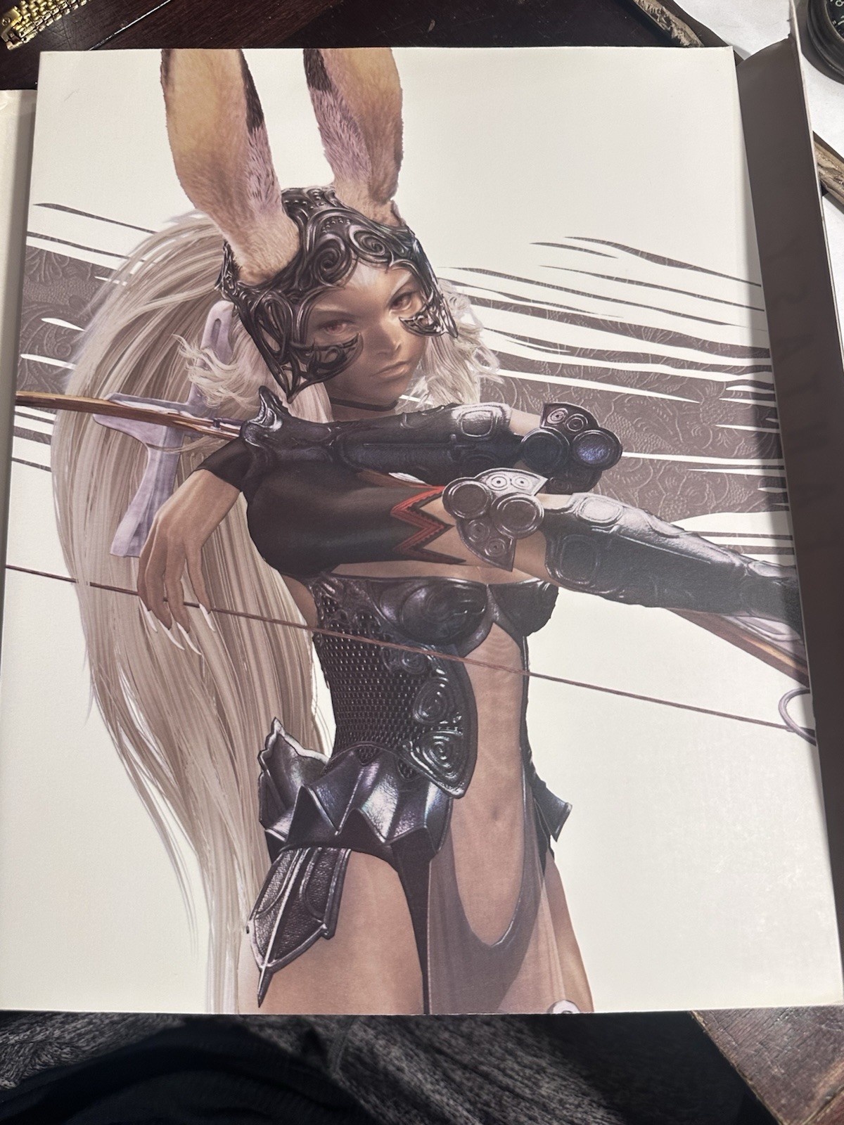 Final Fantasy X11 Book