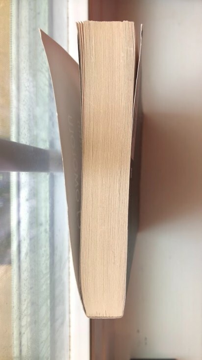 The Third Twin by CJ Omololu Matte Soft Cover Paper Back