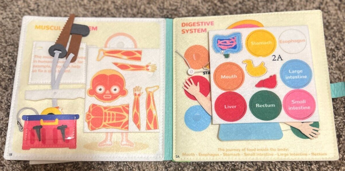Unbranded Montessori Plush Busy Human Body Book
