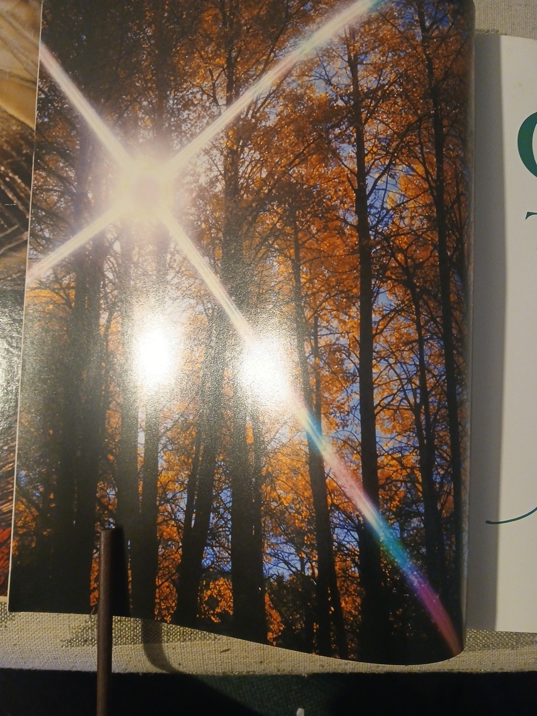 Color The Essence of You by Suzanne Caygill 1st Edition No DJ, SEE DESCRIPTION