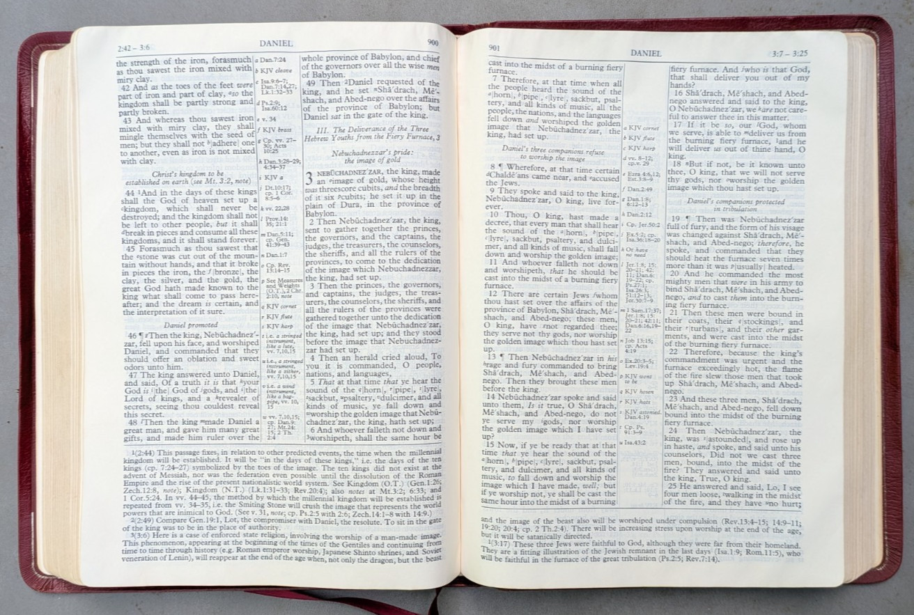 NEW SCOFIELD REFERENCE EDITION Red Cowhide Leather Bible KJV 1969 Oxford