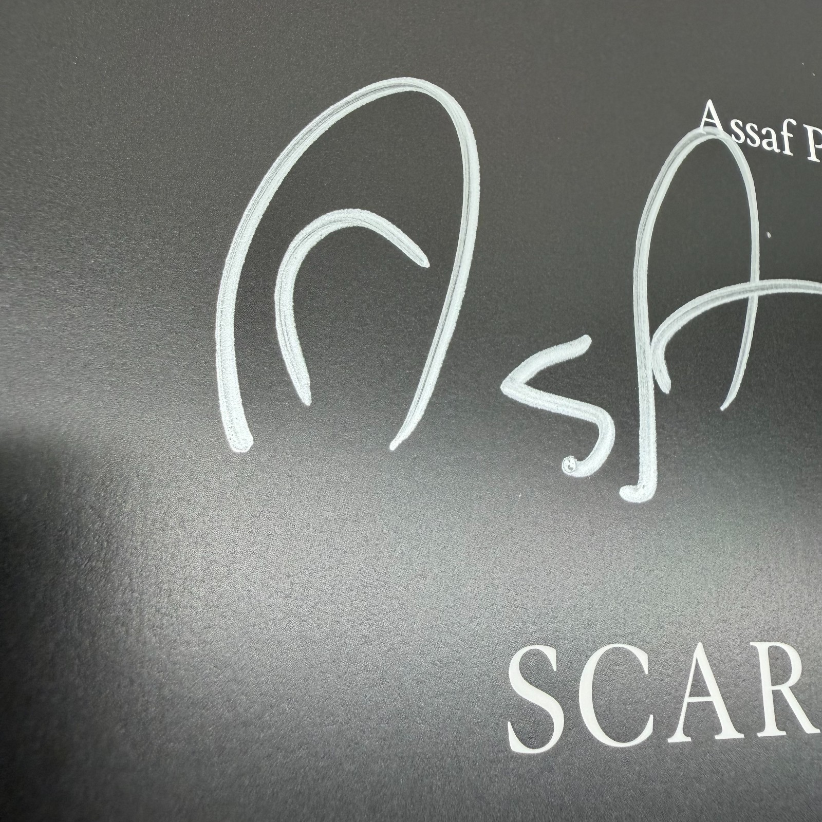 Scar Tissue Assaf Pocker Art Photography Book HAND SIGNED by author – READ
