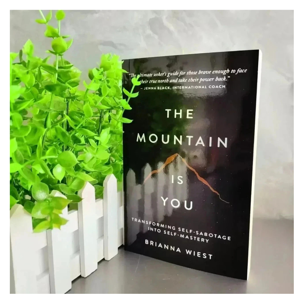 The Mountain Is You by Brianna Wiest – Paperback Book with Free Shipping